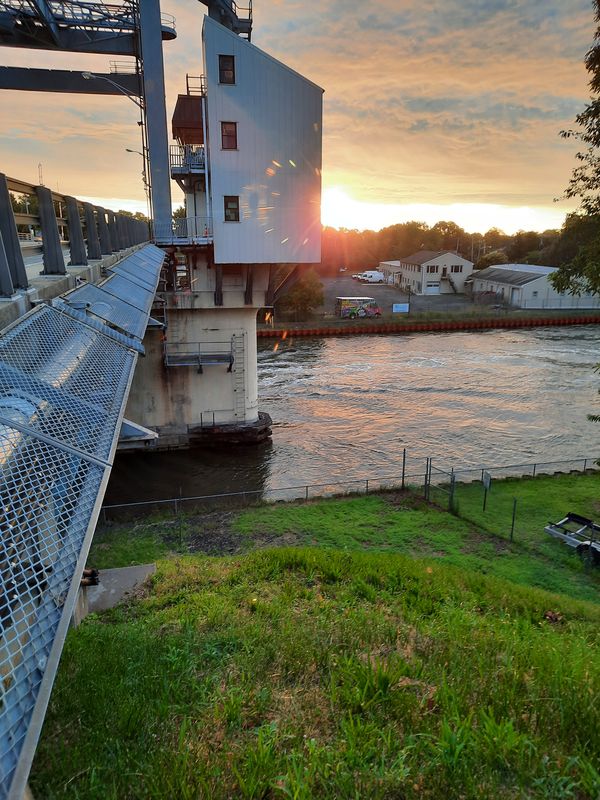 Morning Bridge thumbnail