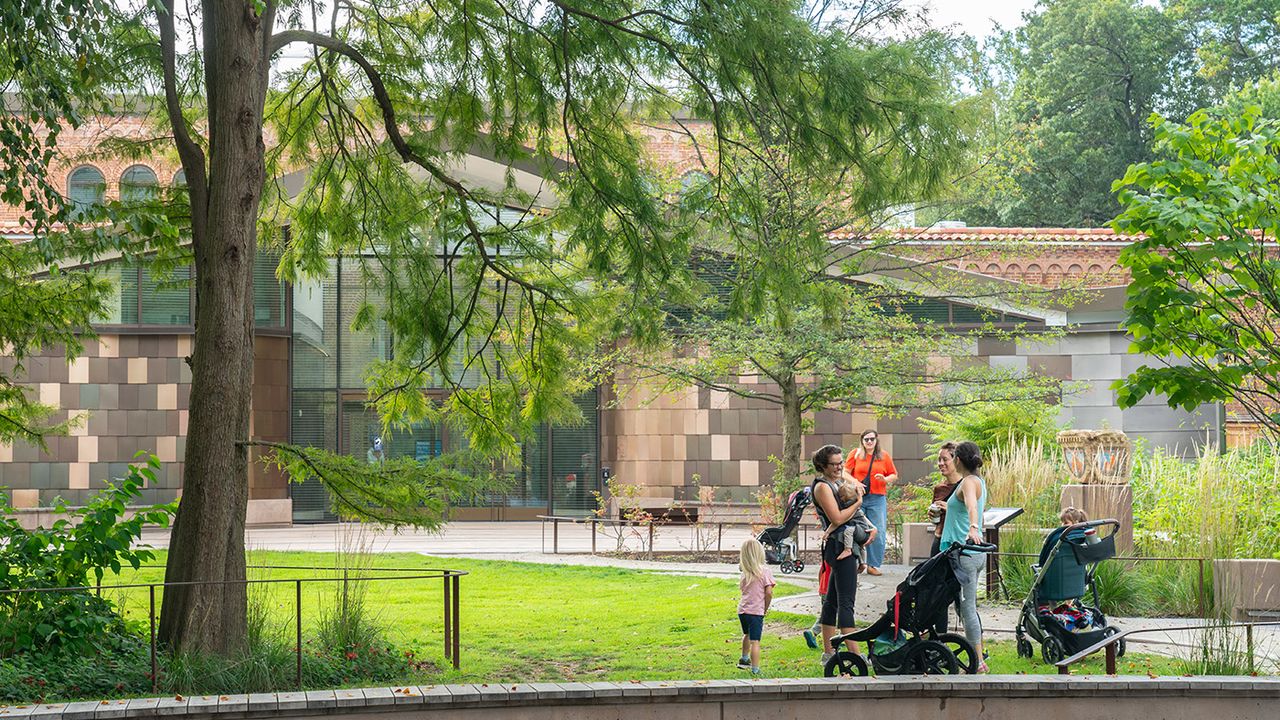 The Hidden Architecture Behind a Wildlife-Friendly Garden at the