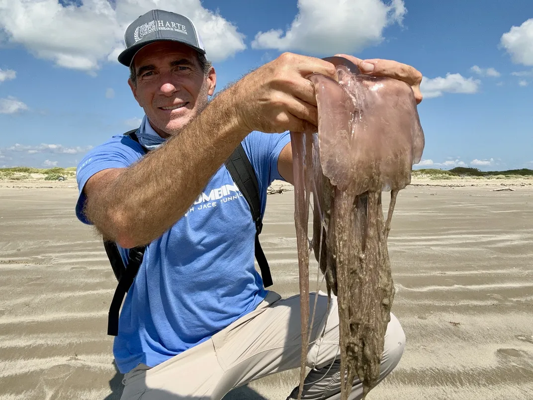 Man in blue t-shirt and baseball cap holding up a large jellyfish