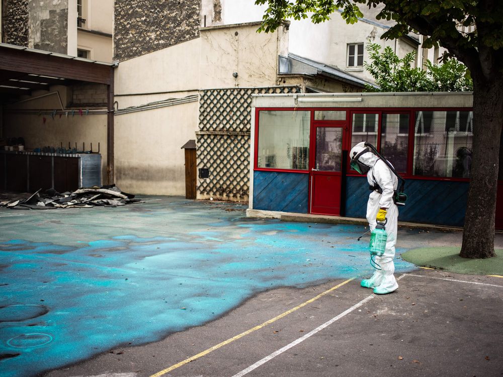 notre-dame cleanup