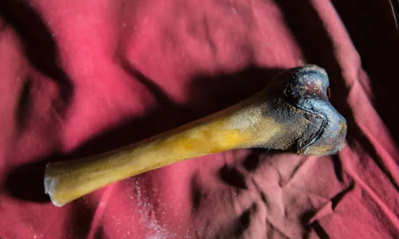 Yeti Bone