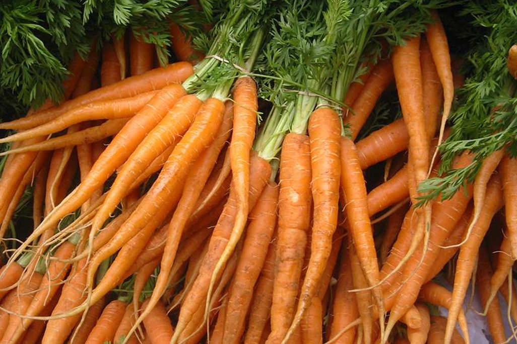 Carrots