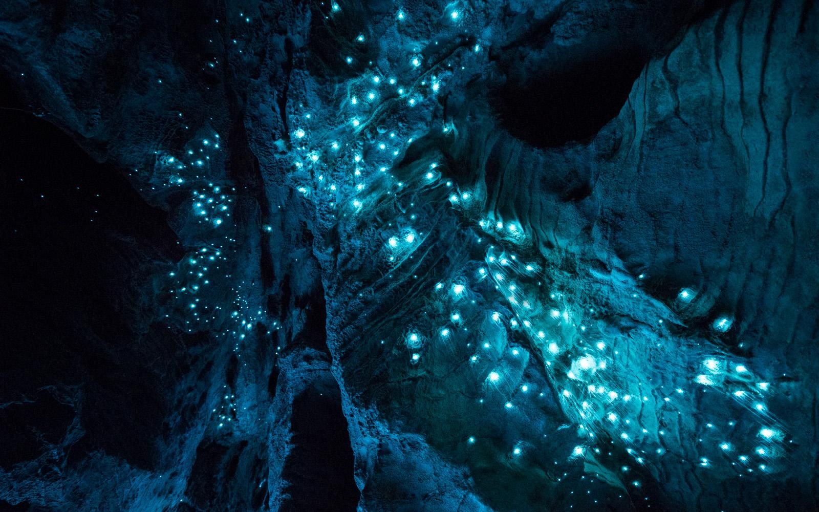 Captivating Long-Exposure Photos of New Zealand's Glowworm Caves | Travel|  Smithsonian Magazine