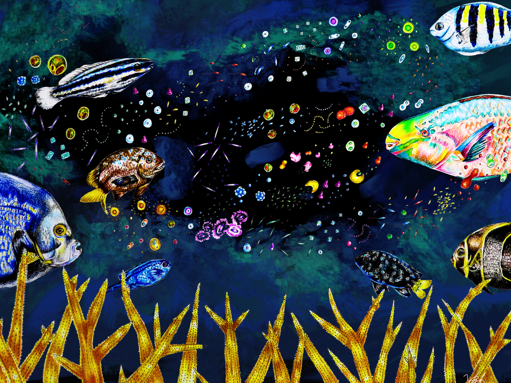 Coral illustrations