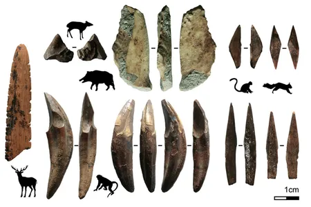 This diagram shows the different kinds of animal bones used to make the 48,000-year-old tools.