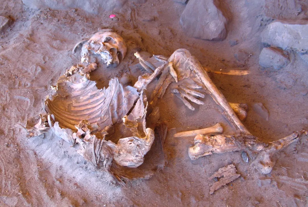 7,000-Year-Old Skeletons From the 'Green Sahara' Reveal a Mysterious Human  Lineage
