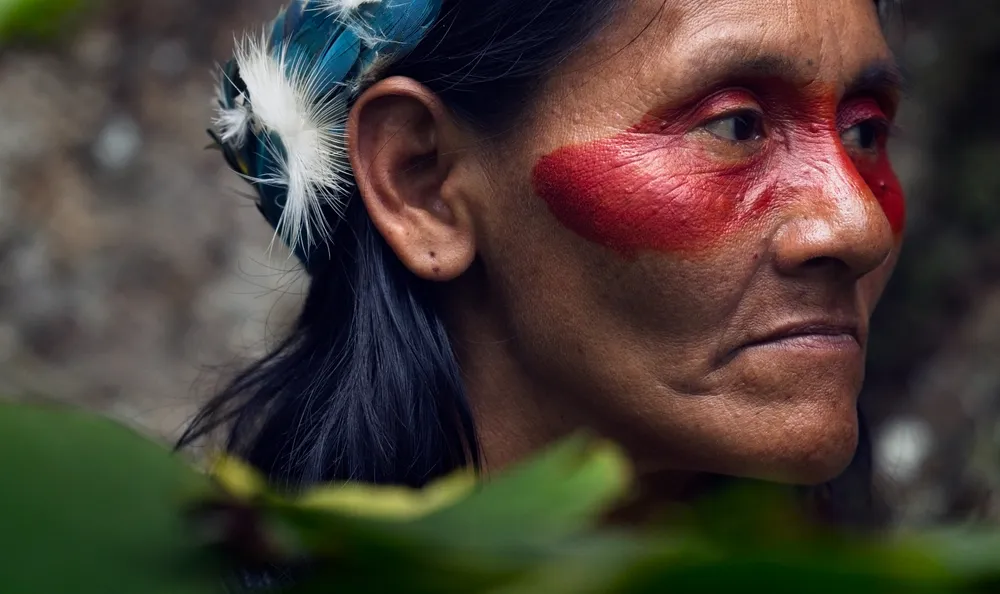 Portrait of Huarani in the background of ancestral tree.


The Huaorani are Ecuador's most recently contacted Indigenous group. They were first approached in the late 1950s by US missionaries and oil workers, ultimately leading to ongoing oil exploitation, territorial displacement, and cultural colonization. 

The Yasuní Biosphere is one of the areas with the most extraordinary biodiversity per square meter on the planet. 99.73% of the biosphere reserve consists of original natural vegetation. 

Yasuní has been undergoing radical change for many years as the exploration of the region's oil reserves threatens many native species and habitats and the lifestyle of the Indigenous Huaorani. The latest referendum halted the development of all new oil wells in the Yasuní, bringing hope to preserving the unique culture of Huaorani and their home.