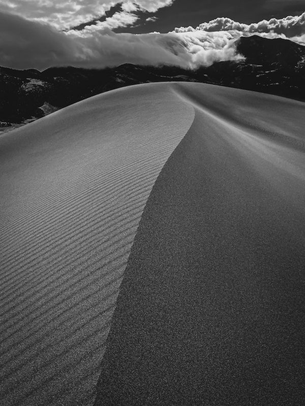 The curve of a dune thumbnail