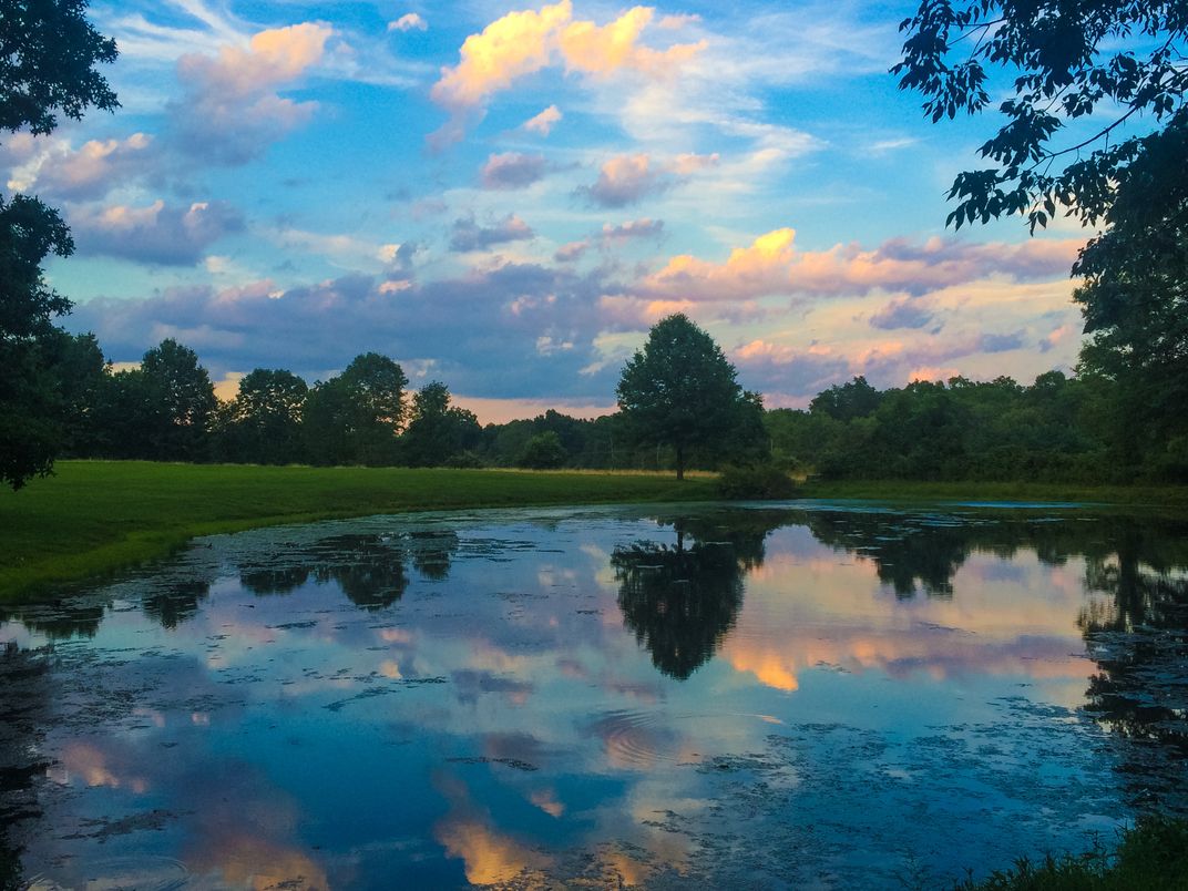 Reflection of sky and trees on water after a hike in the Sourland ...