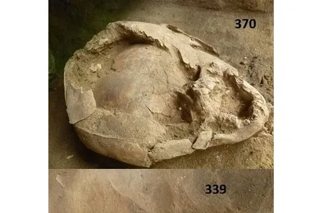 One of the infants was around 18 months old at time of death, while the second was between 6 and 9 months old. 