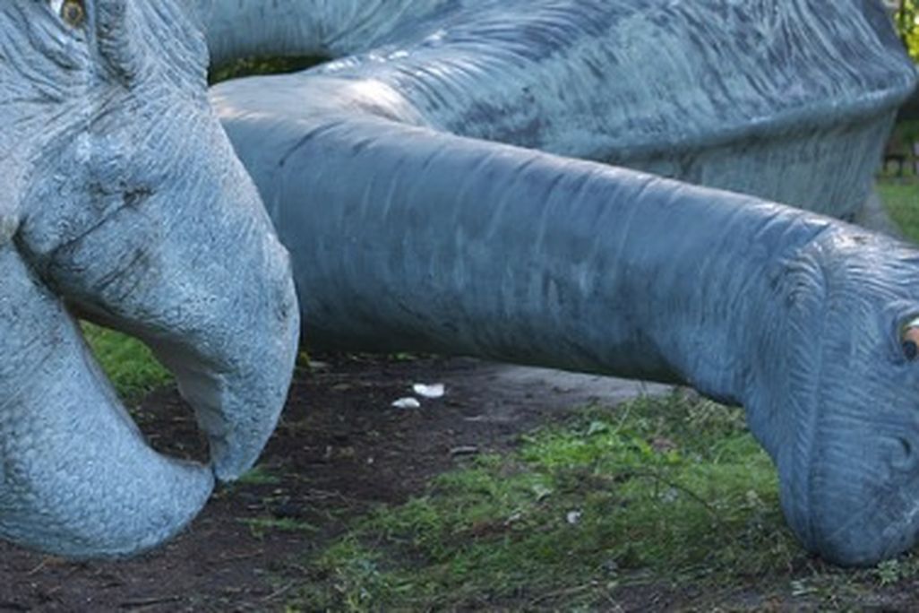 That sauropod looks quite frustrated