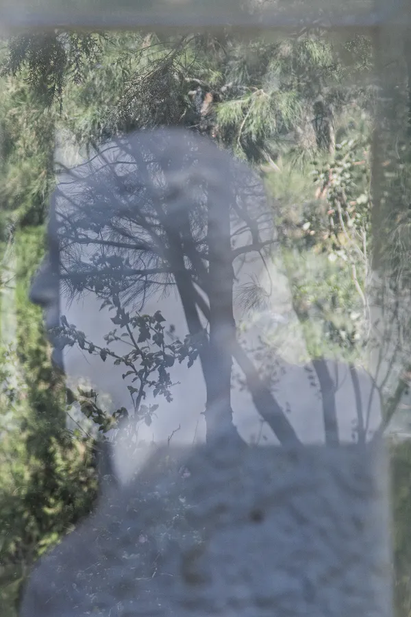 Dead thoughts thumbnail