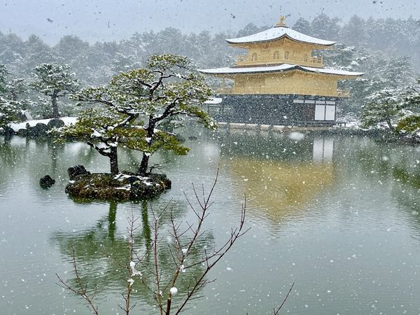 Golden Temple in the Snow thumbnail