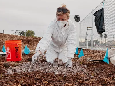 Can Scientists Harness the Magic of Mushrooms to Clean Up Polluted Landscapes? image