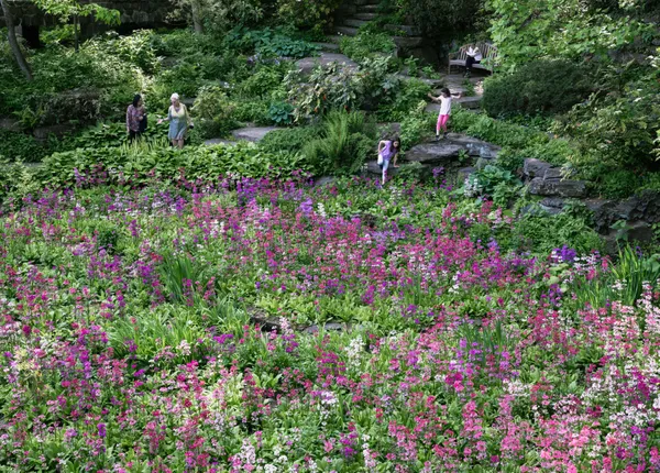 Descending Into The Quarry Garden thumbnail