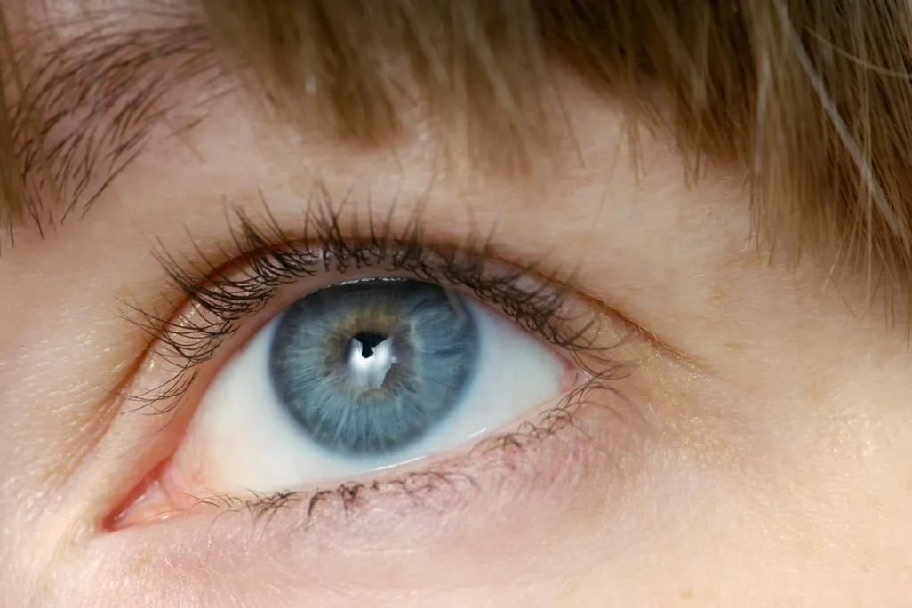 Lashes
