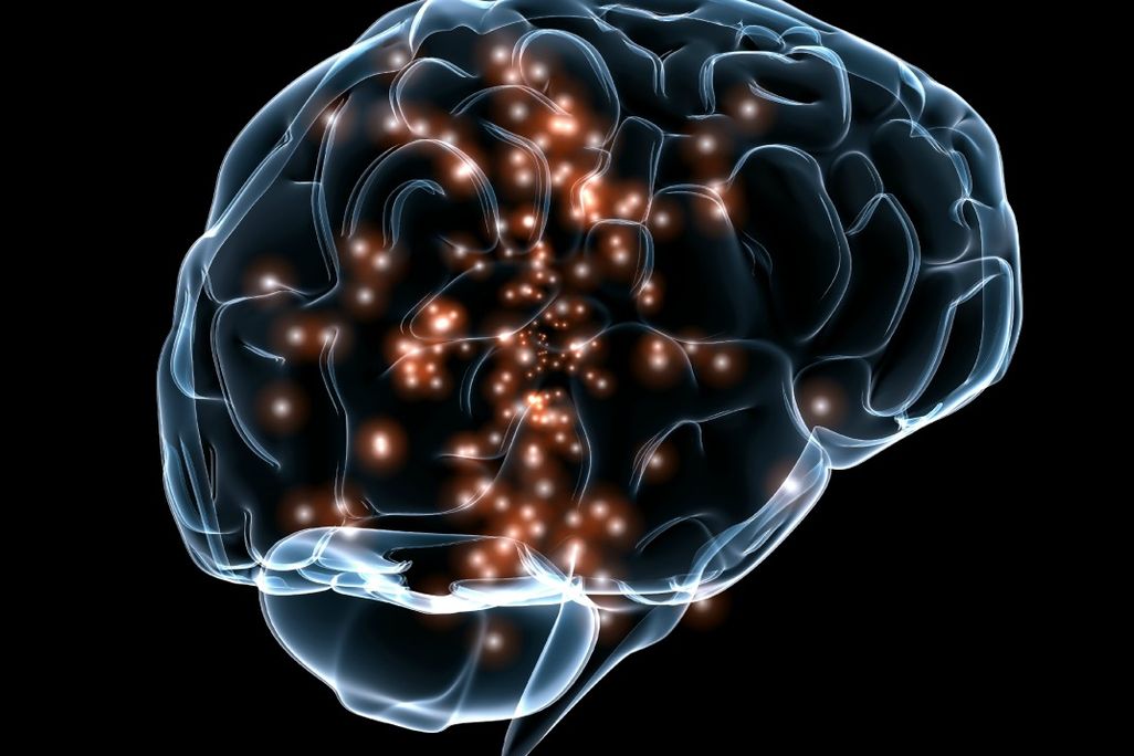 Darpa brain image