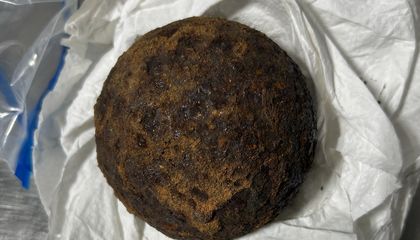 TSA Officers Found Five Cannonballs Stolen From a Civil War Fort in a Checked Suitcase at an Alabama Airport