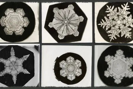 The original photos from late 1800s by famous snowflake photographer Wilson “Snowflake” Bentley, are stored in the Smithsonian Archives. His pictures were instrumental in helping scientists examine snow’s crystalline properties.
