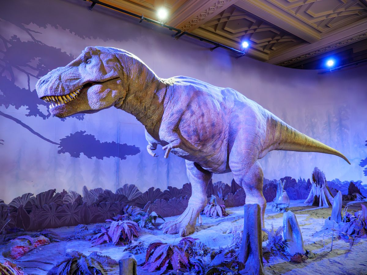 Tyrannosaurus Rex and Other Terrifying Predatory Dinosaurs Had Itty-Bitty Arms. Scientists May Have Finally Figured Out Why