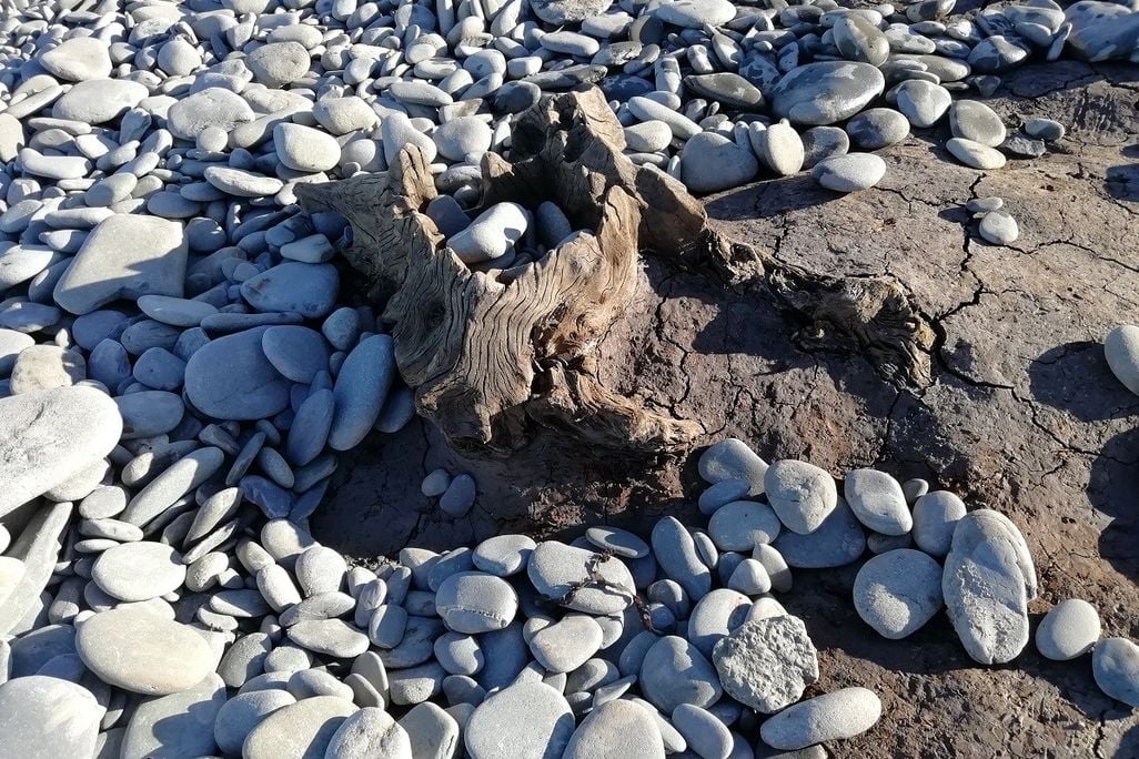 Stump