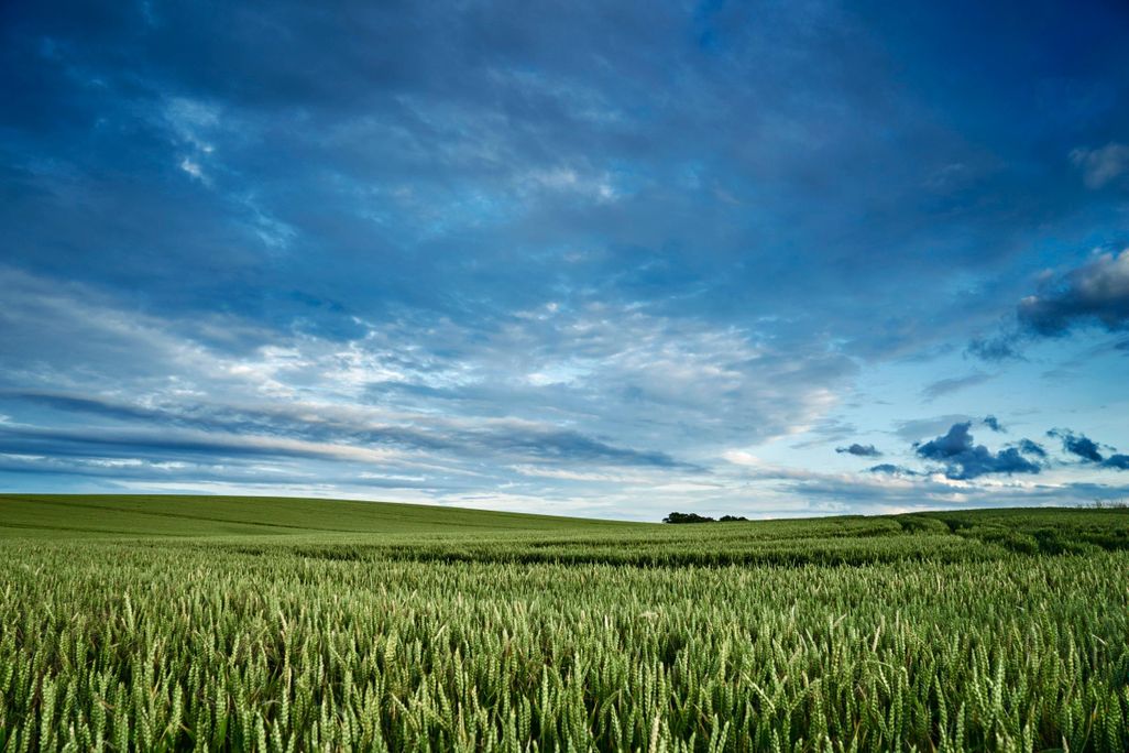 Farm