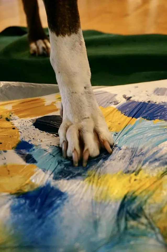 Van Gogh painting with paw