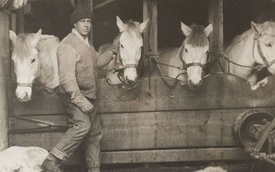 Captain Lawrence "Titus" Oates with ponies