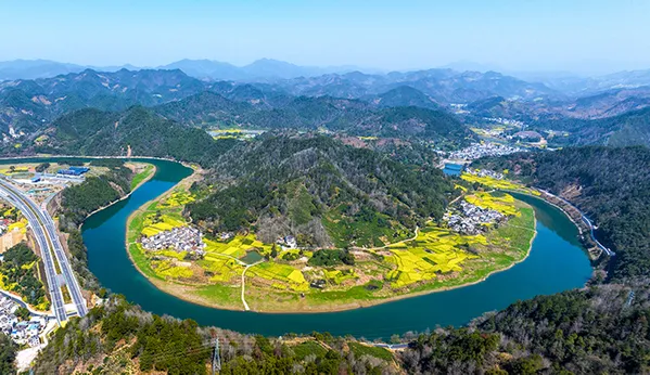 Plate of gold thumbnail