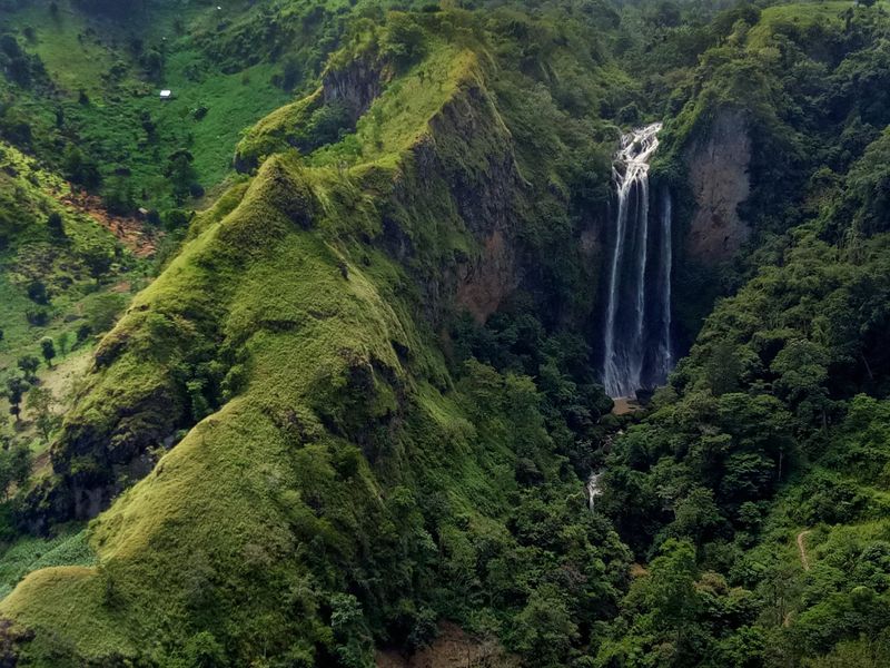 Eagle eye view Smithsonian Photo Contest Smithsonian Magazine