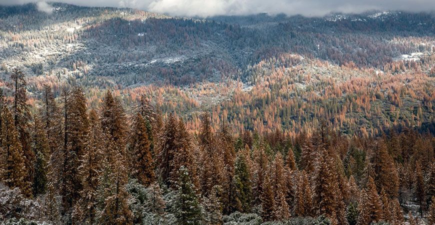 Dead Sierras