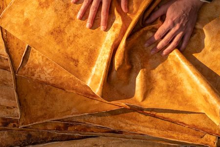 While the material is mushroom-based, MycoWorks creates its rigid patented material by engineering mycelium cells as they grow into 3-D structures that intertwine themselves so densely, it makes a tough material, dubbed Fine Mycelium. The material has the strength, durability, and performance as traditional leather.

&nbsp;

&nbsp;