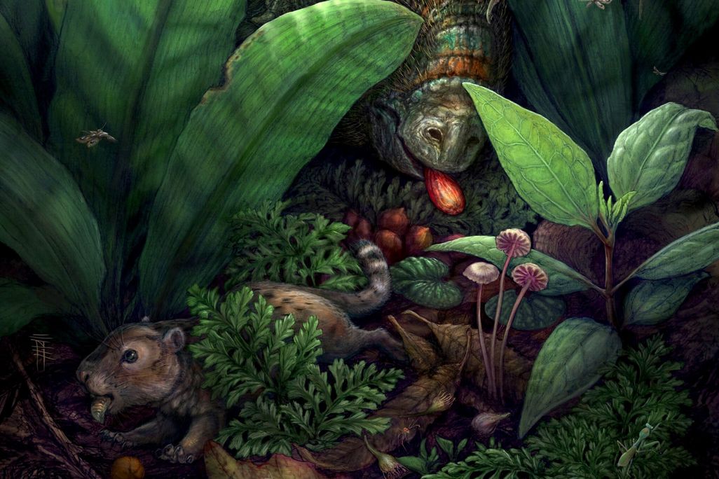 An illustration of a dinosaur eating a fruit