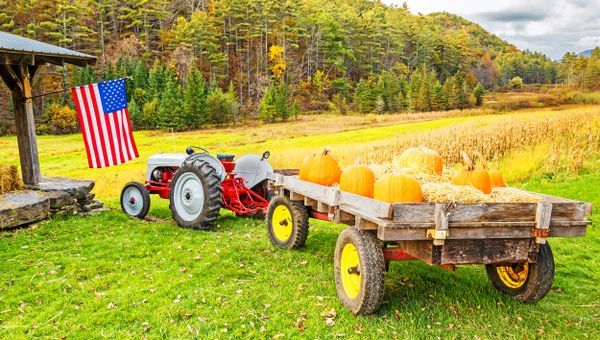 farm scene in Autumn with tractor and pumpkins thumbnail