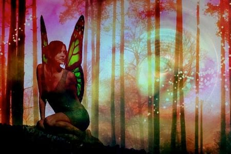 Icelanders still hold strong to their belief in fairies