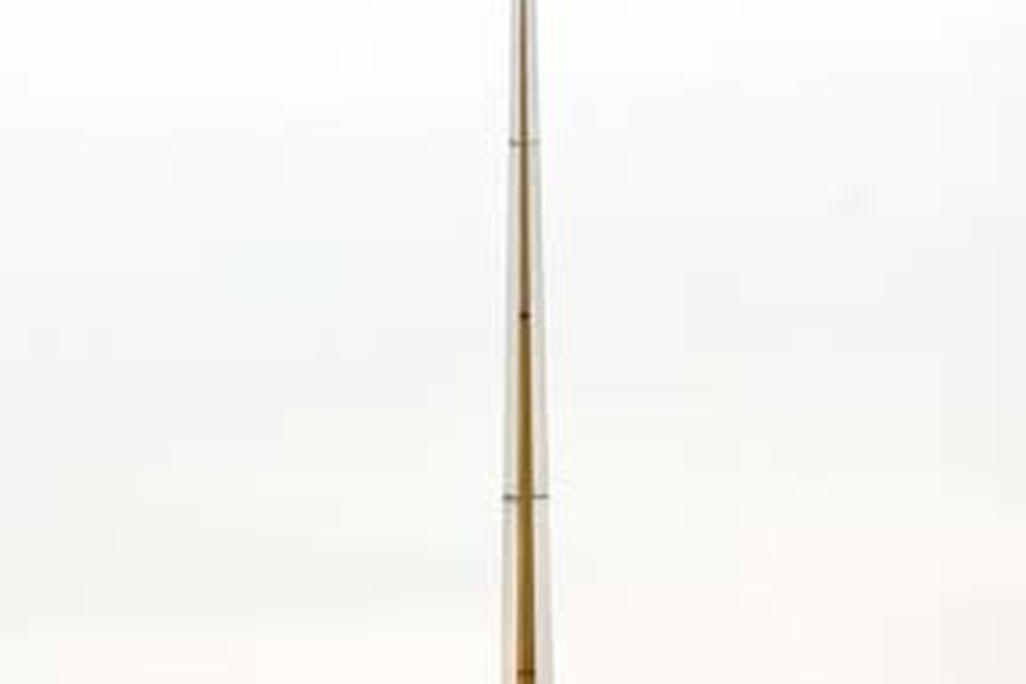 Avino's hawk-505.jpg