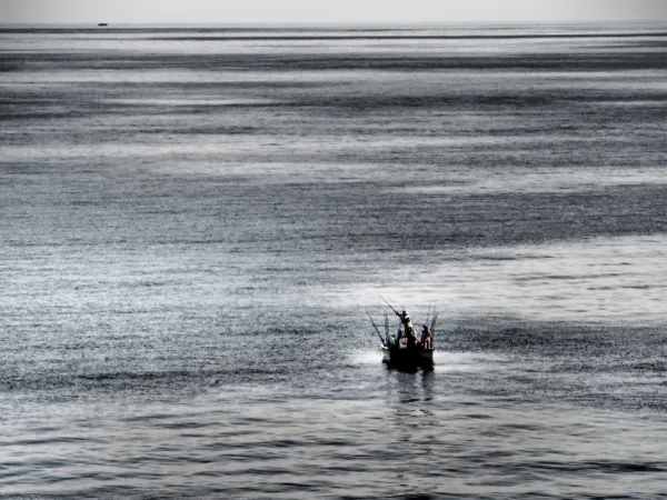 Gulf Harvest: Fishermen on a Silver Sea thumbnail