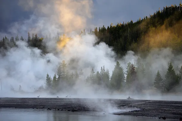 Steam next to Yellowstone Lake thumbnail