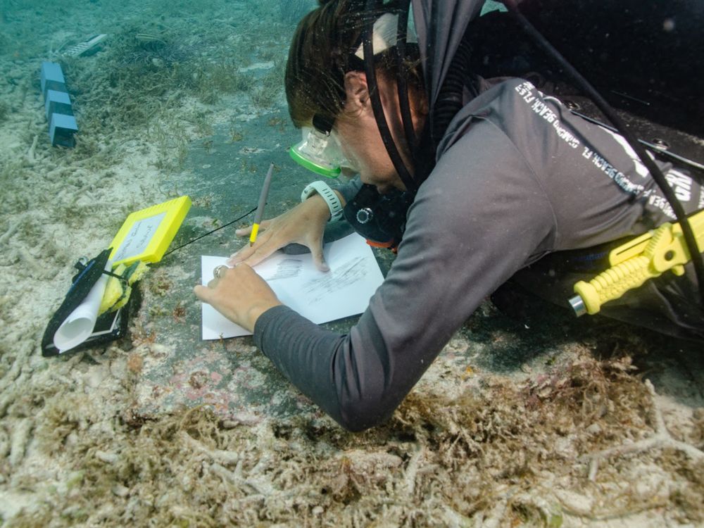 Diver takes a rubbing of John Greer’s gravestone