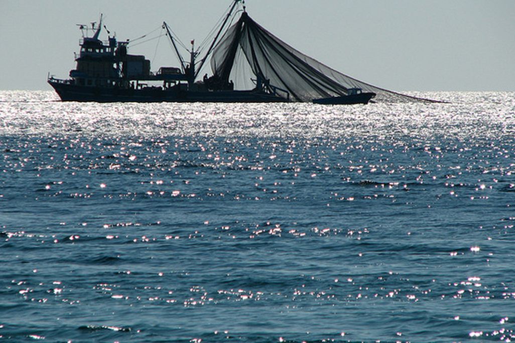 A fishing trawler off the coast of Turkey.