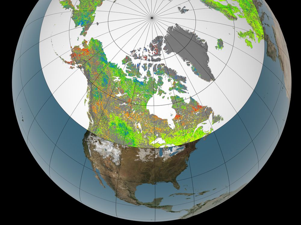 plant growth over the past 30 years