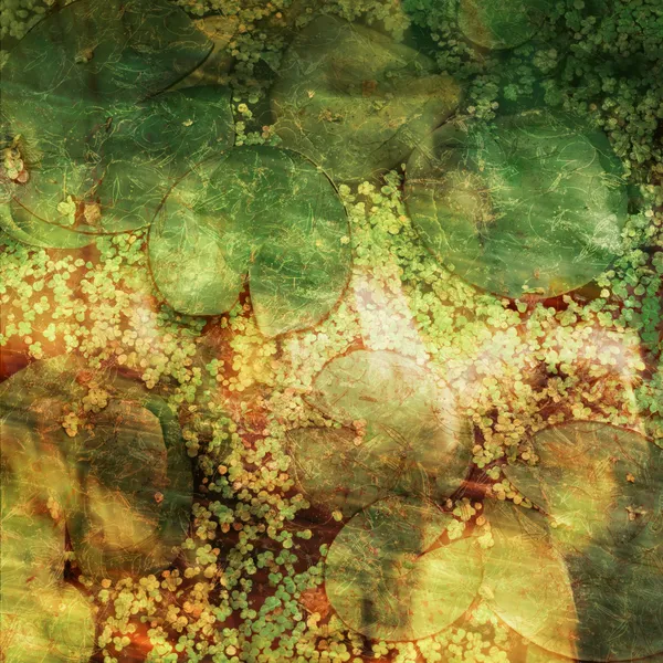 Underwater leaver thumbnail