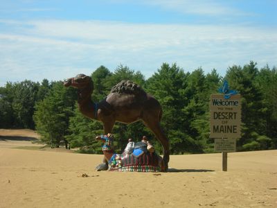 Camel statues mark the Desert of Maine, which is actually not a true desert.