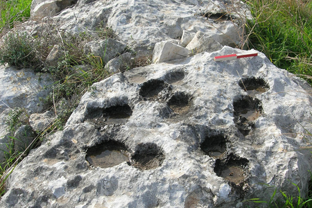 Researchers once thought these holes were from food prep. They were wrong. 