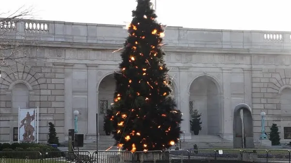 Preview thumbnail for Cai Guo-Qiang Makes a 40-Foot-Tall Pine Tree Explode