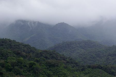 New research estimates that Brazil's Atlantic Forest has regrown 4.2 million hectares of forest since 2000.

