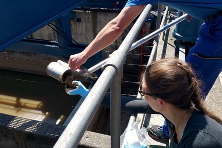 Intrepid Swiss scientists sampling wastewater at a treatment plant in Zürich