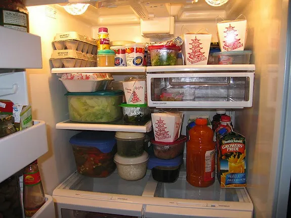 Why Does the Refrigerator Have a Light and the Freezer Doesn't?, Smart  News