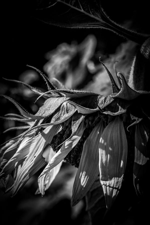 The Last Breath thumbnail