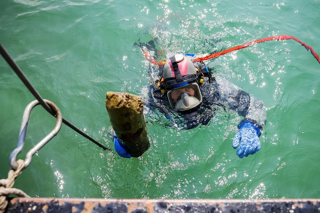 Diver holds up prehistoric wooden post